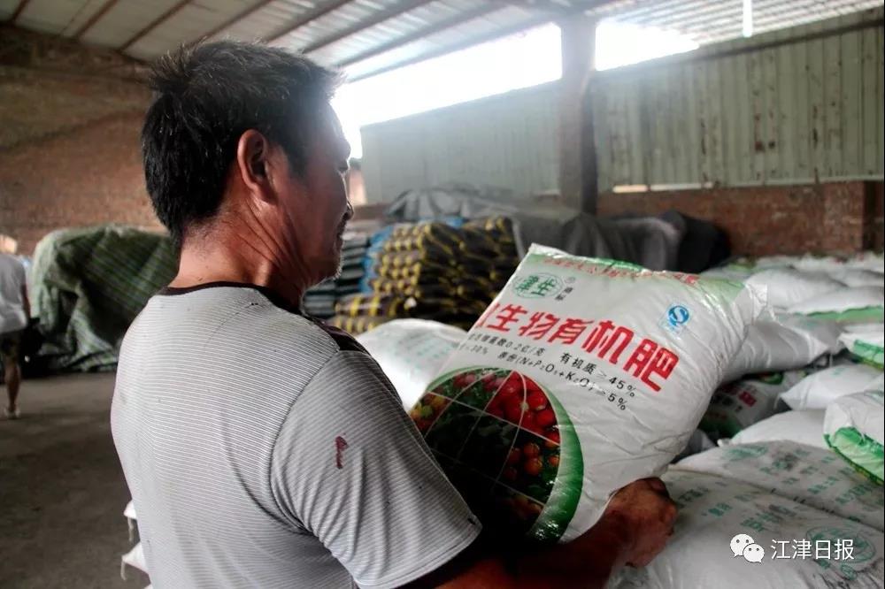 农名选购有机肥