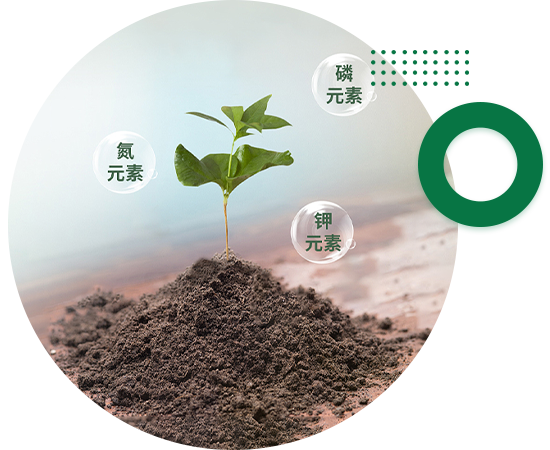 中文字幕乱码熟女人妻水蜜桃