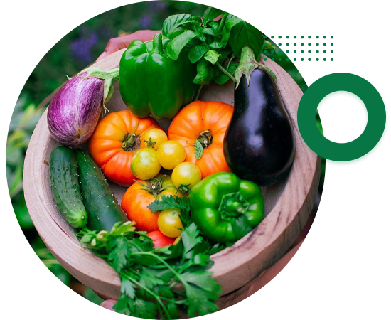 中文字幕乱码熟女人妻水蜜桃