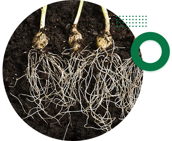 中文字幕乱码熟女人妻水蜜桃