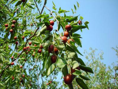 1716260272719742.jpg 1.jpg